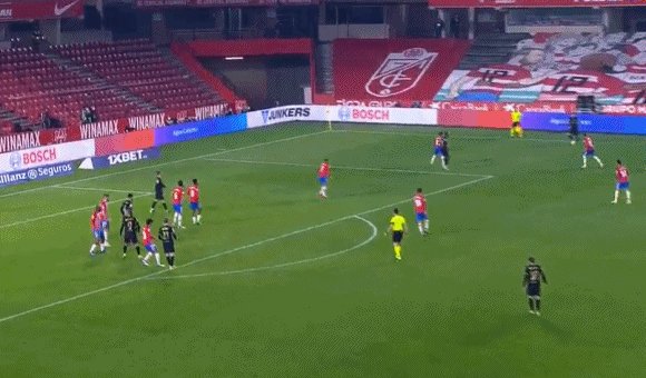 1612395562981089069.gif